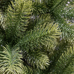 Nagoya X-Mas Tree Green Tips 1448 - H210Xd115Cm