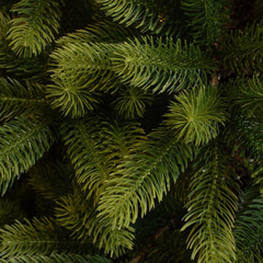 Nagoya X-Mas Tree Green Tips 2230 - H240Xd138Cm